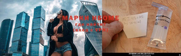 ПСИЛОЦИБИНОВЫЕ ГРИБЫ Новодвинск