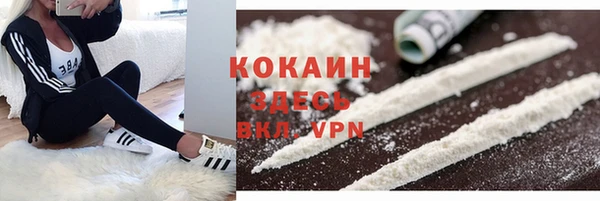 меф Няндома