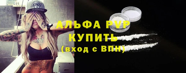 скорость Бикин