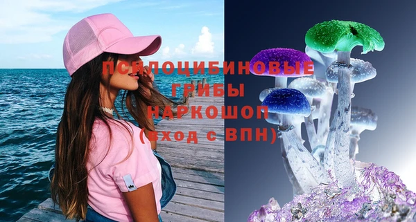 ПСИЛОЦИБИНОВЫЕ ГРИБЫ Новодвинск