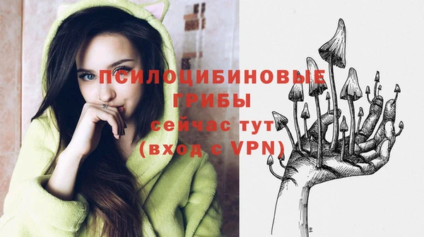 ПСИЛОЦИБИНОВЫЕ ГРИБЫ Новодвинск