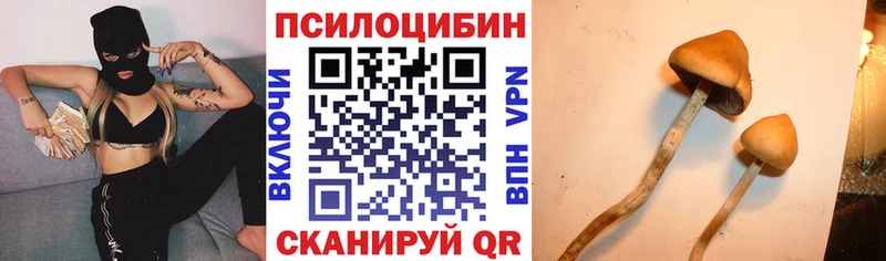 Псилоцибиновые грибы Cubensis  гидра сайт  Калач-на-Дону 