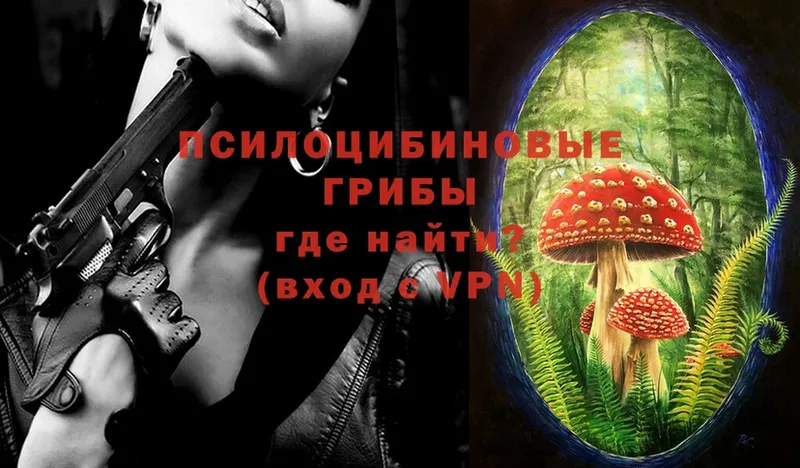 где продают   сайты даркнета официальный сайт  Псилоцибиновые грибы Magic Shrooms  Калач-на-Дону 