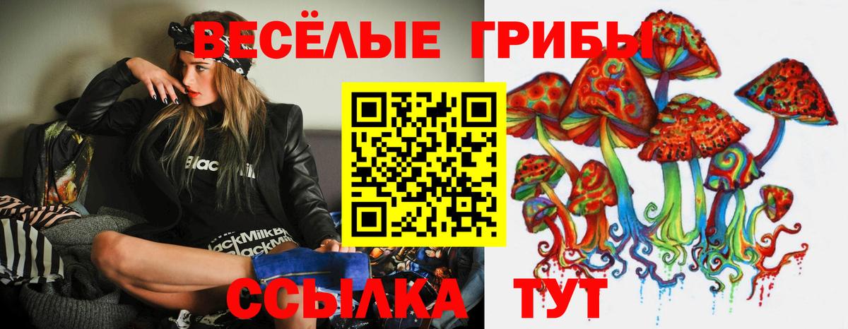 наркота  Галлюциногенные грибы прущие грибы  Вход с VPN  Калач-на-Дону 